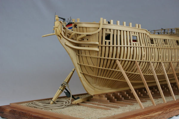 Image of Kingfisher