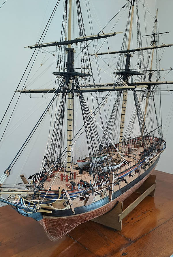 Image of Diana