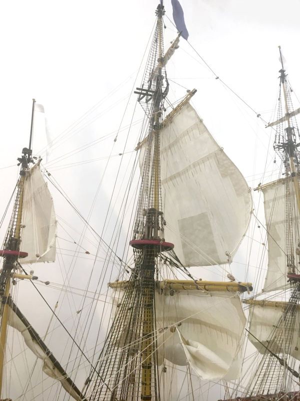 Image of Soleil Royal